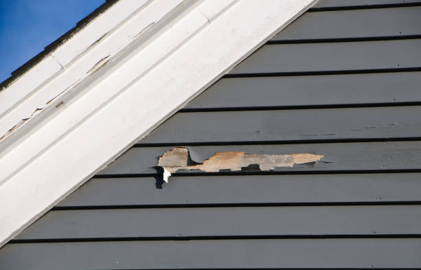 Trusted Hollywood, FL Junk Removal Experts